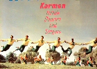 Karmon